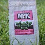 NPK 20-20-20 | Water Soluble Fertlizer | 500 g