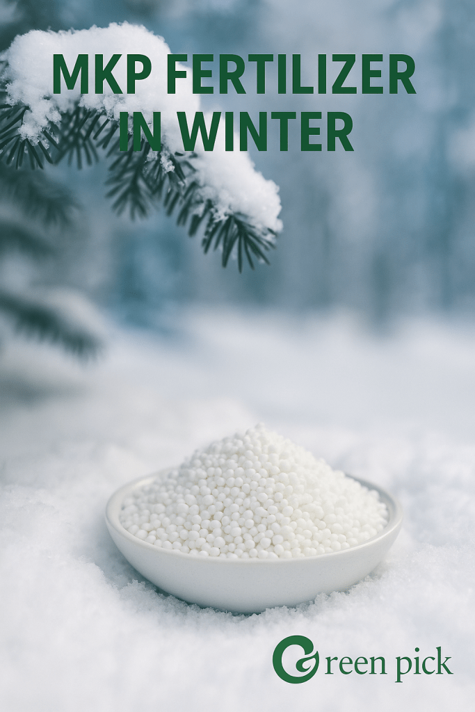 MKP Fertilizer in Winter