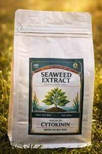 Kelp Seaweed GreenPick