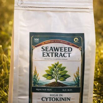 Kelp Seaweed GreenPick