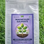 Magnesium Sulphate | Epsom Salt | 500g
