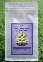 Magnesium Sulphate | Epsom Salt | 500g