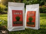 Lawn Repair - Green Pick Australia