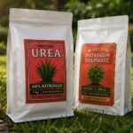 Lawn Repair - Green Pick Australia