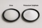 Lawn Root & Shoot Repair Kit (Dual Pack - 2x1 Kg) - Image 2